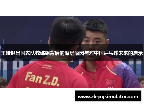王皓退出国家队教练组背后的深层原因与对中国乒乓球未来的启示