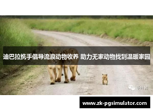 迪巴拉携手倡导流浪动物收养 助力无家动物找到温暖家园 迪巴拉携手倡导流浪动物收养 助力无家动物找到温暖家园